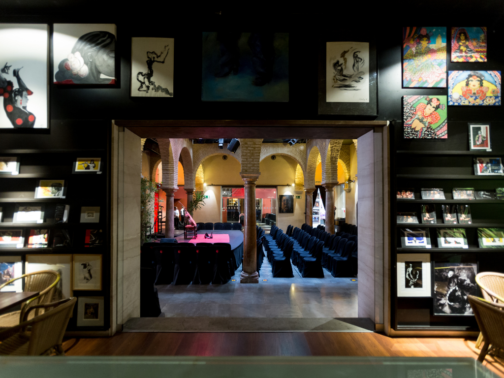 Privatisation of the Museum (Only visit)