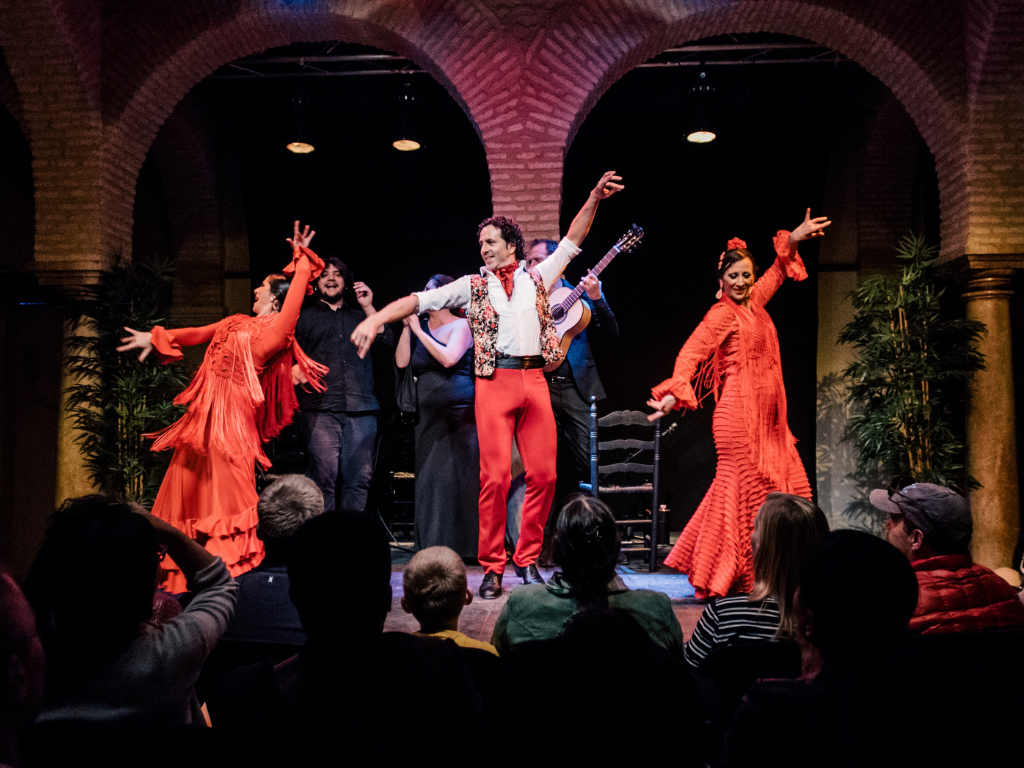 Flamenco Dreams Show